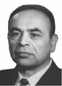 Мееров Михаил Владимирович